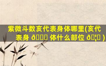 紫微斗数亥代表身体哪里(亥代表身 🐋 体什么部位 🦆 )
